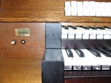 zdj (1)