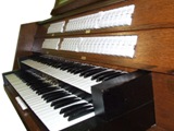 zdj (9)